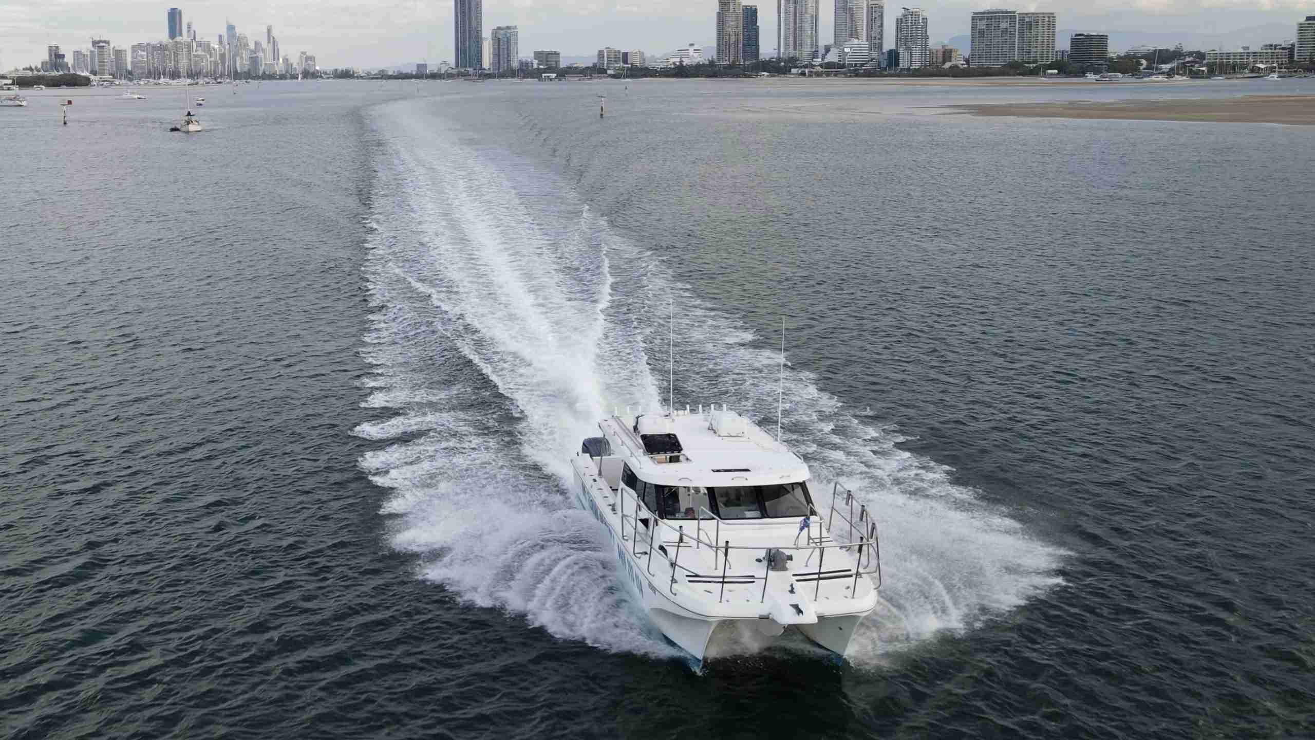 gold-coast-whale-watch-about
