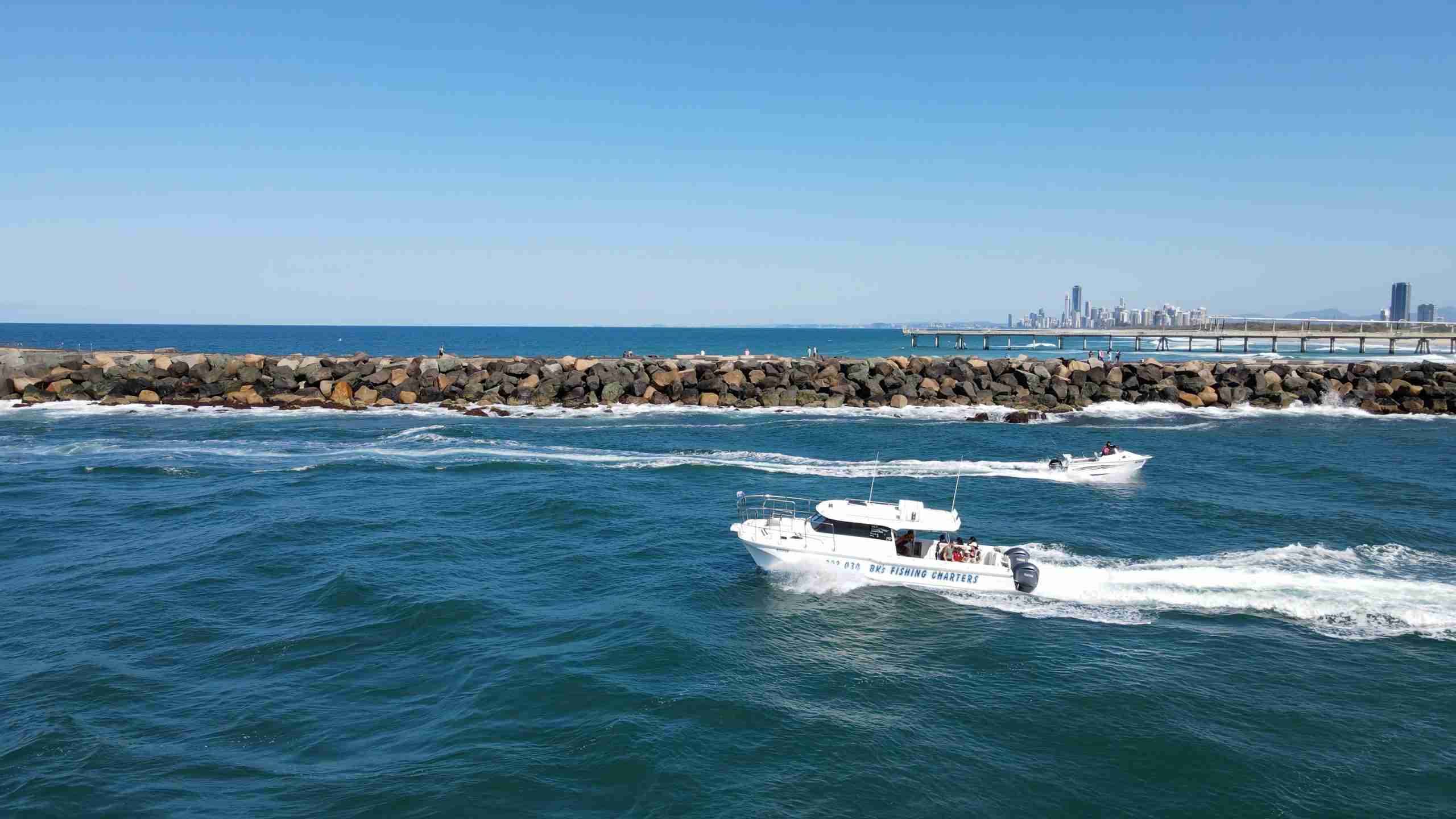 gold-coast-whale-watch-reef-cat-2